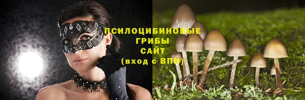 прущие крисы Абдулино