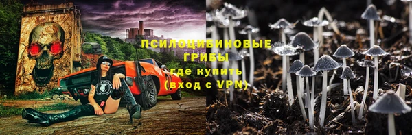 бошки Абинск