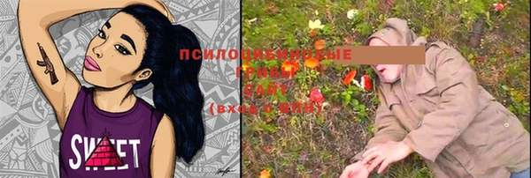 прущие крисы Абдулино